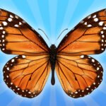 MergeButerfly: 2048!